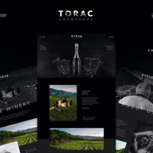 Torac – Champagne Elementor Template Kit Latest Version